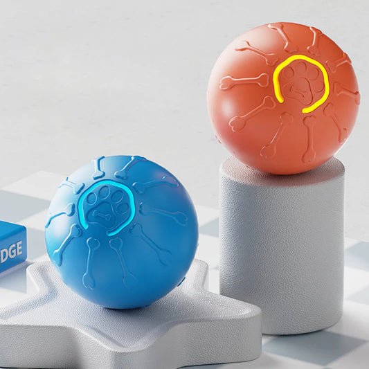 🐶 Interaktivna igračka za psa – brez dolgčasa zdaj! 😍