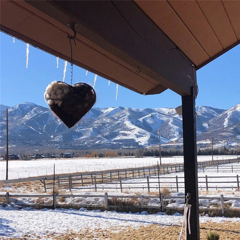 ❤️ Srce gnezdo za ptice v vrtu – lepota & pomoč naravi zdaj! 😍
