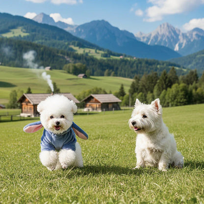 【🐾 V trenutku spremenite svojega ljubljenčka v ljubkega spremljevalca.】Čudovita jopa s kapuco in živalskim motivom