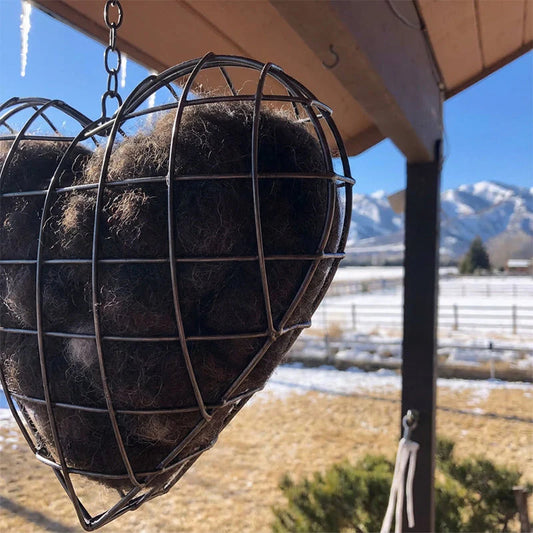 ❤️ Srce gnezdo za ptice v vrtu – lepota & pomoč naravi zdaj! 😍