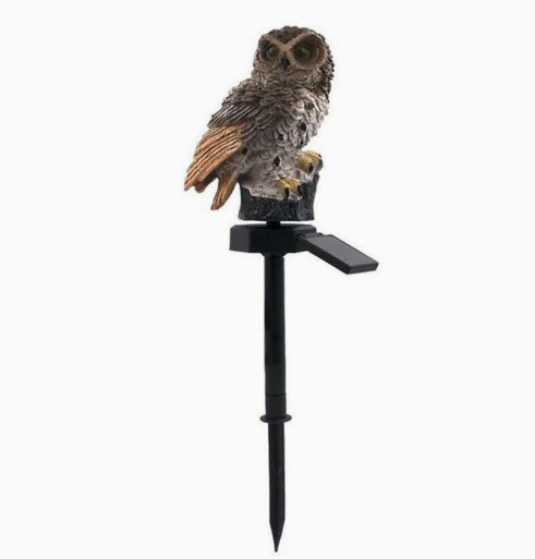 🦉 Solarne dekorativne luči za vrt – samodejno!