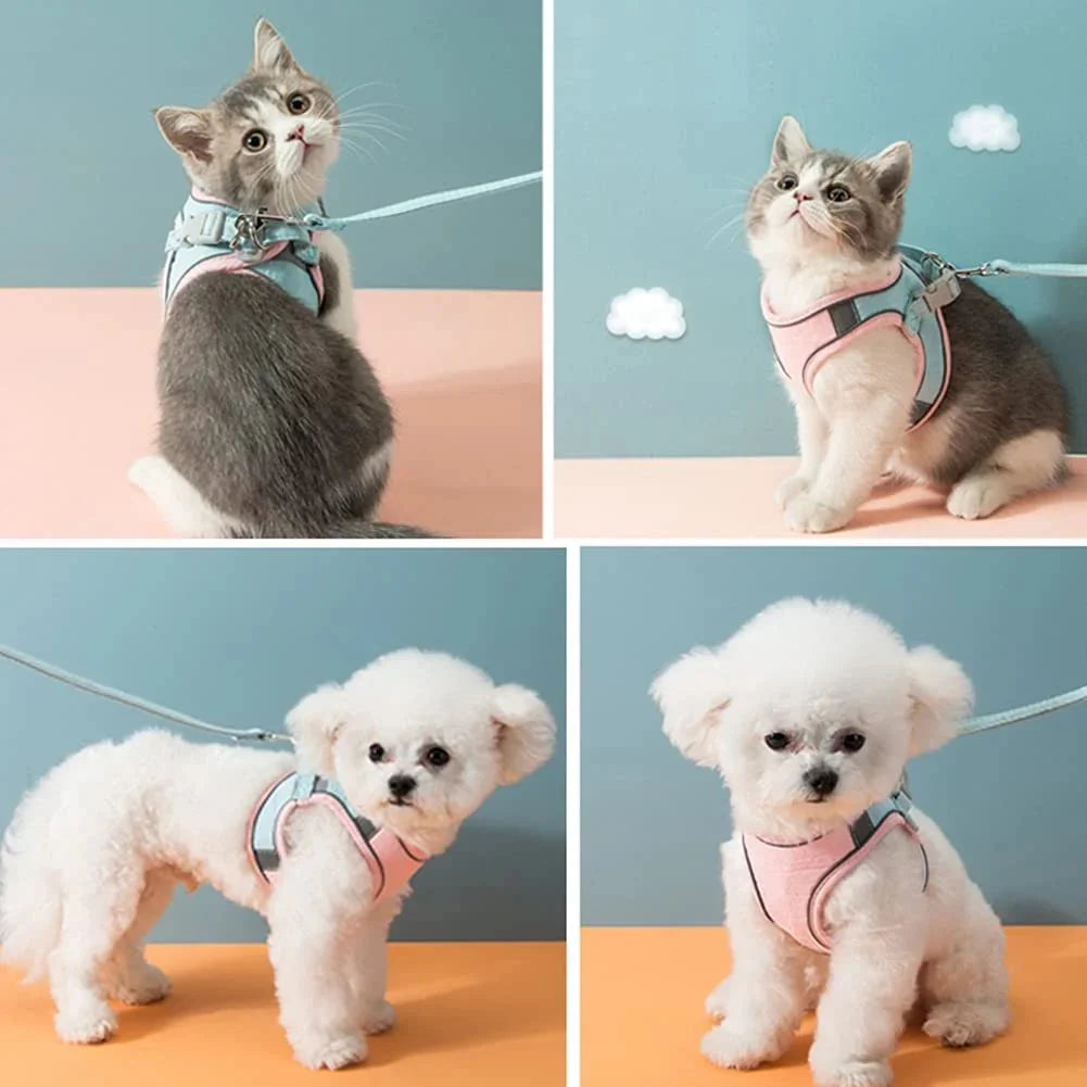 🐱 Mačji Oprsnik In Povodec – Varnost In Udobje Za Vaše Ljubljenčke! 🚶