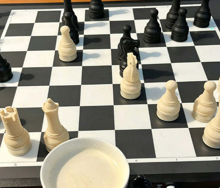 ♟️ Magnetni šah s zložljivo desko – igrajte kjerkoli! ✨