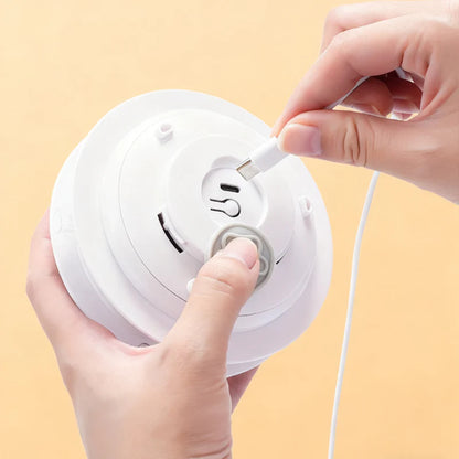 🎮 2v1 Igra Skrivalnic Za Mačke – Interaktivna Zabava + Lovski Nagon! 🐾