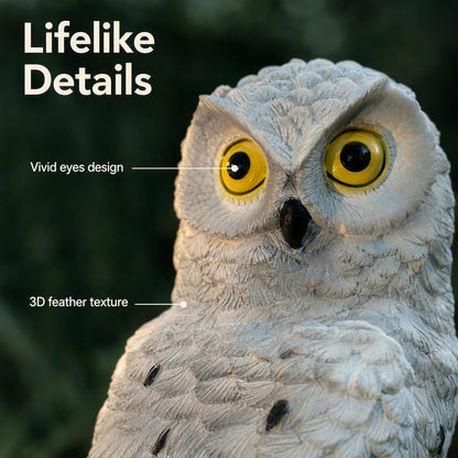 🦉 Solarne dekorativne luči za vrt – samodejno!