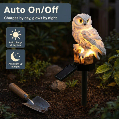 🦉 Solarne dekorativne luči za vrt – samodejno!