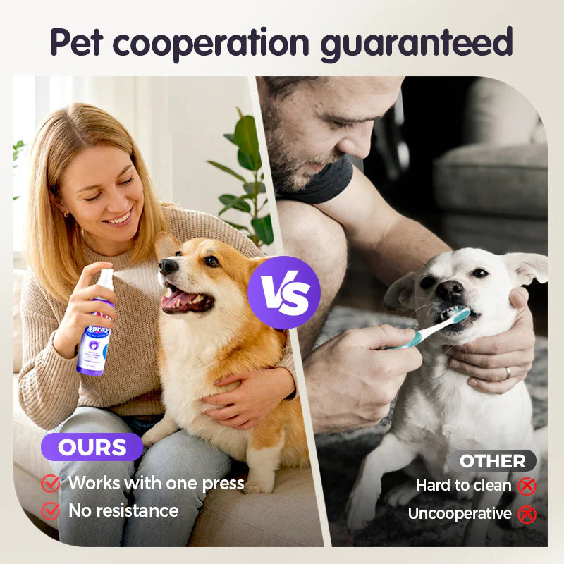 🐶 Sprej za zobe za pse in mačke – svežina + čisti zobje! ✨