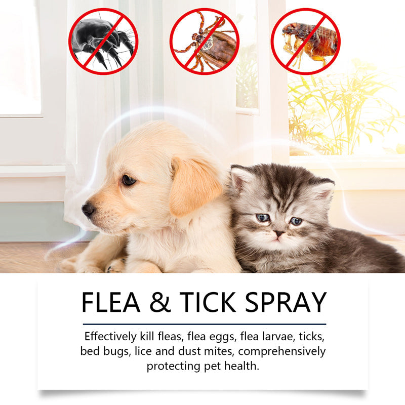 Természetes bolha- és kullancsriasztó spray kutyáknak és macskáknak