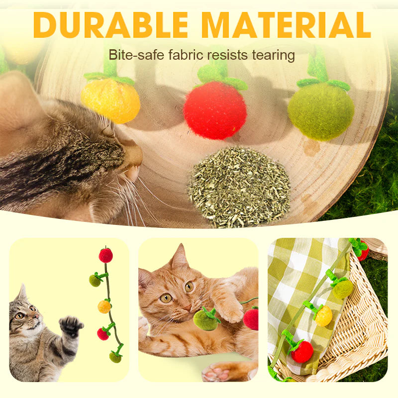 🐱 Interaktivna Igrača Za Mačke – Nepeta + Zvončki + Zabava! 🥕
