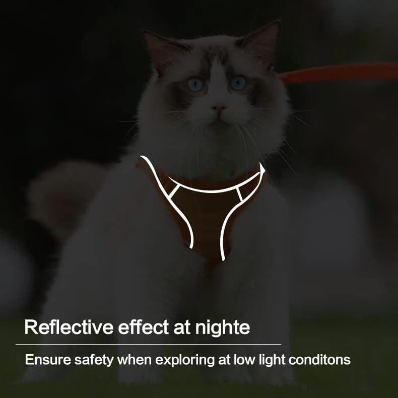 🐱 Mačji Oprsnik In Povodec – Varnost In Udobje Za Vaše Ljubljenčke! 🚶