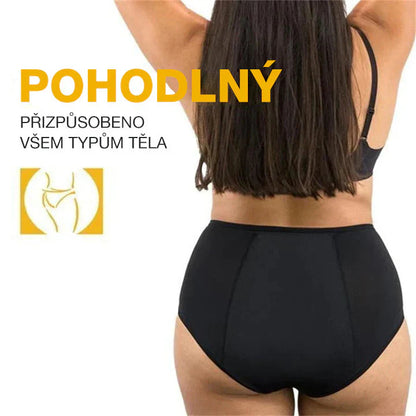 ✨Nove nepremočljive hlačke z visokim pasom iz leta 2025 (3 trakovi v enem paketu)