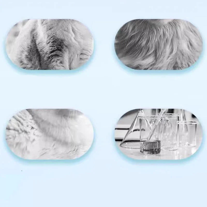 🐱 Čistilna pena za hišne ljubljenčke – brez izpiranja, varno in neguječe za vse pasme! 🐶