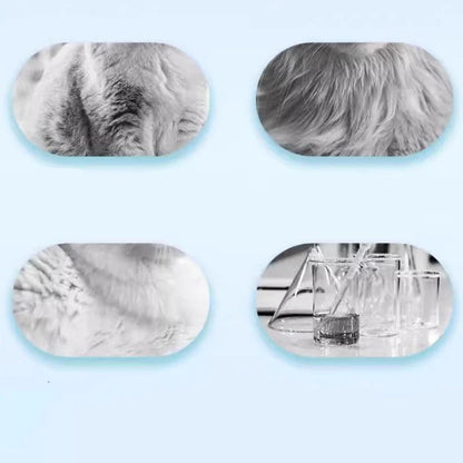 🐱 Čistilna pena za hišne ljubljenčke – brez izpiranja, varno in neguječe za vse pasme! 🐶