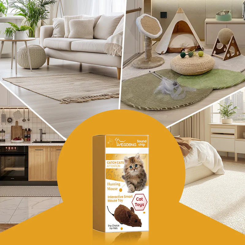 🐱 Majhne Miške Za Mačke In Pse – Aktivnost In Zabava Za Vaše Ljubljenčke! 🐶