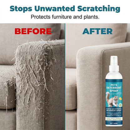 🌿🐾 Gyógynövényes macska-riasztó spray – Védi a bútorokat és növényeket biztonságosan! ✨