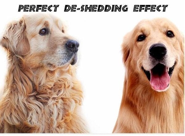 （🔥Kupite 1 dobite 1 gratis🔥)Glavnik za odstranjevanje vozlov, varen za hišne ljubljenčke