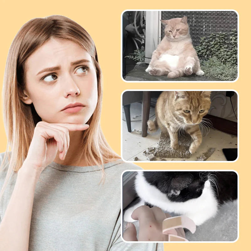 🐱 Majhne Miške Za Mačke In Pse – Aktivnost In Zabava Za Vaše Ljubljenčke! 🐶