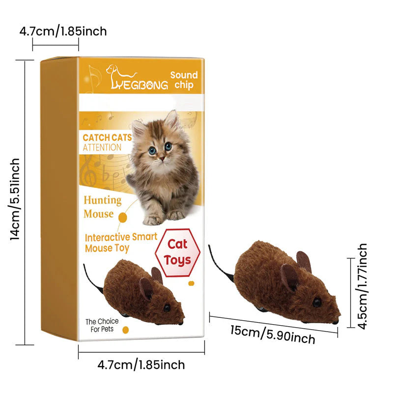 🐱 Majhne Miške Za Mačke In Pse – Aktivnost In Zabava Za Vaše Ljubljenčke! 🐶
