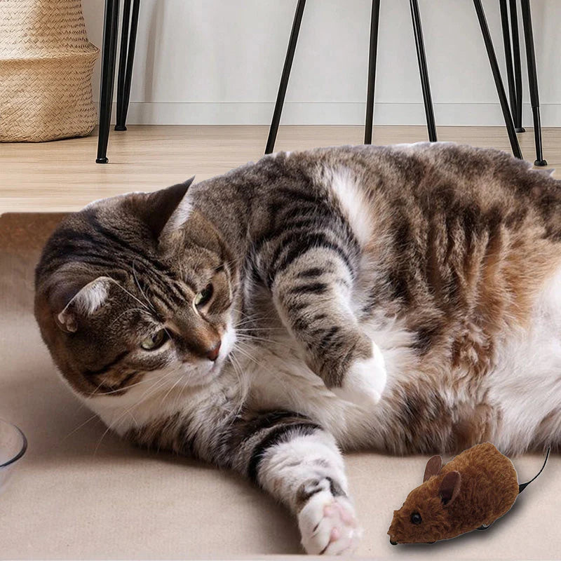 🐱 Majhne Miške Za Mačke In Pse – Aktivnost In Zabava Za Vaše Ljubljenčke! 🐶