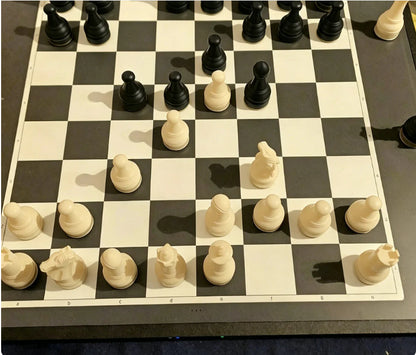 ♟️ Magnetni šah s zložljivo desko – igrajte kjerkoli! ✨