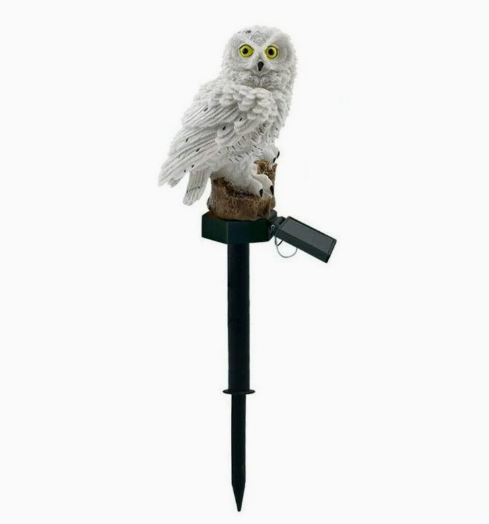 🦉 Solarne dekorativne luči za vrt – samodejno!