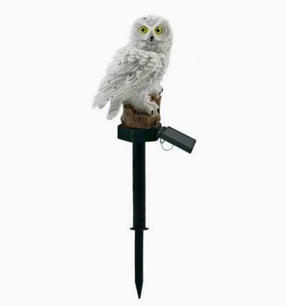 🦉 Solarne dekorativne luči za vrt – samodejno!
